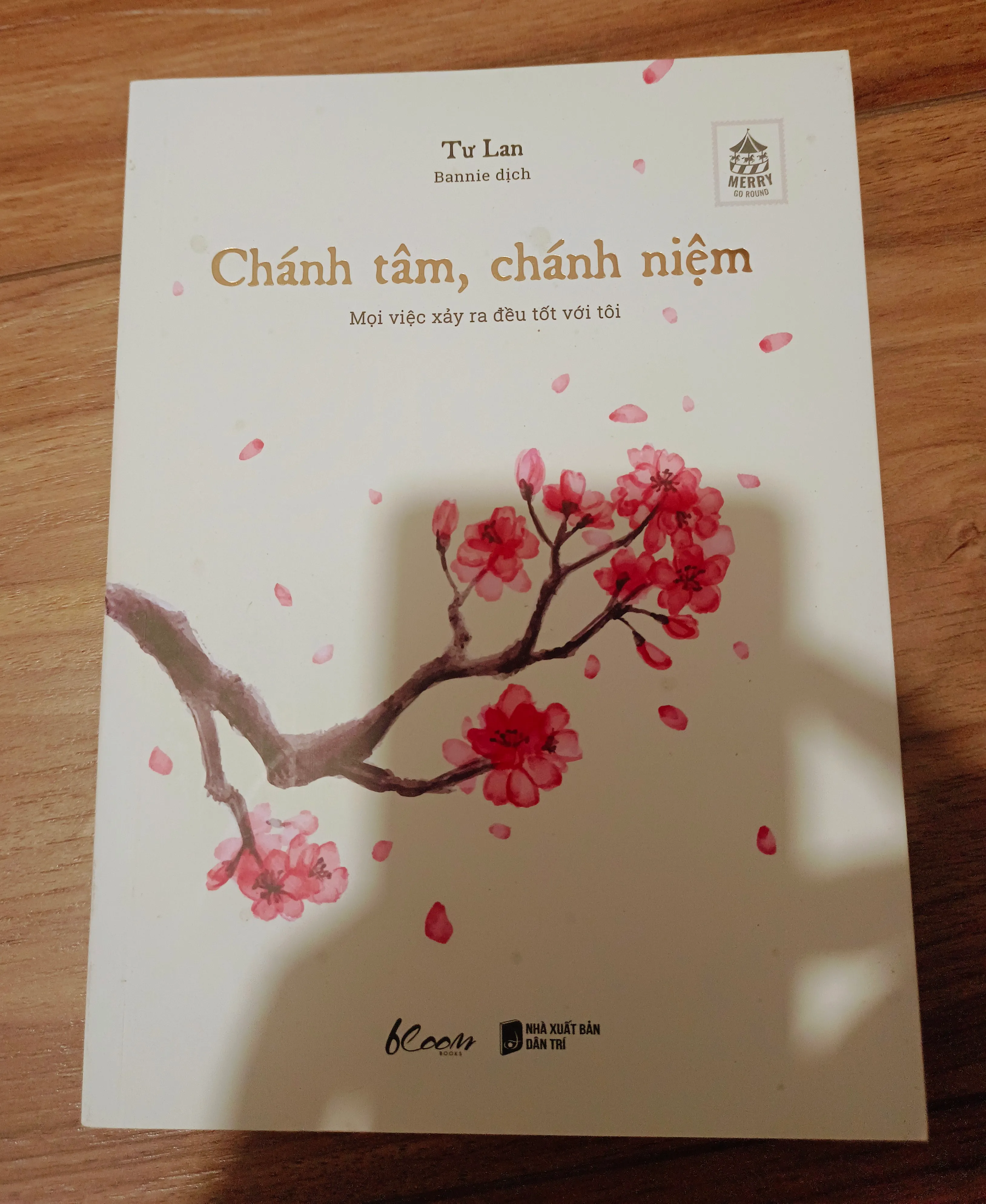 Chánh tâm, chánh niệm - Tư Lan