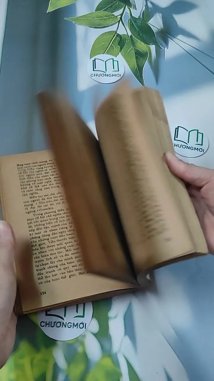 [MIỄN PHÍ BỌC SÁCH] [XƯA] Tiểu Thuyết Việt Nam Hiện Đại 2 (1978) - Phan Cự Đệ 776017