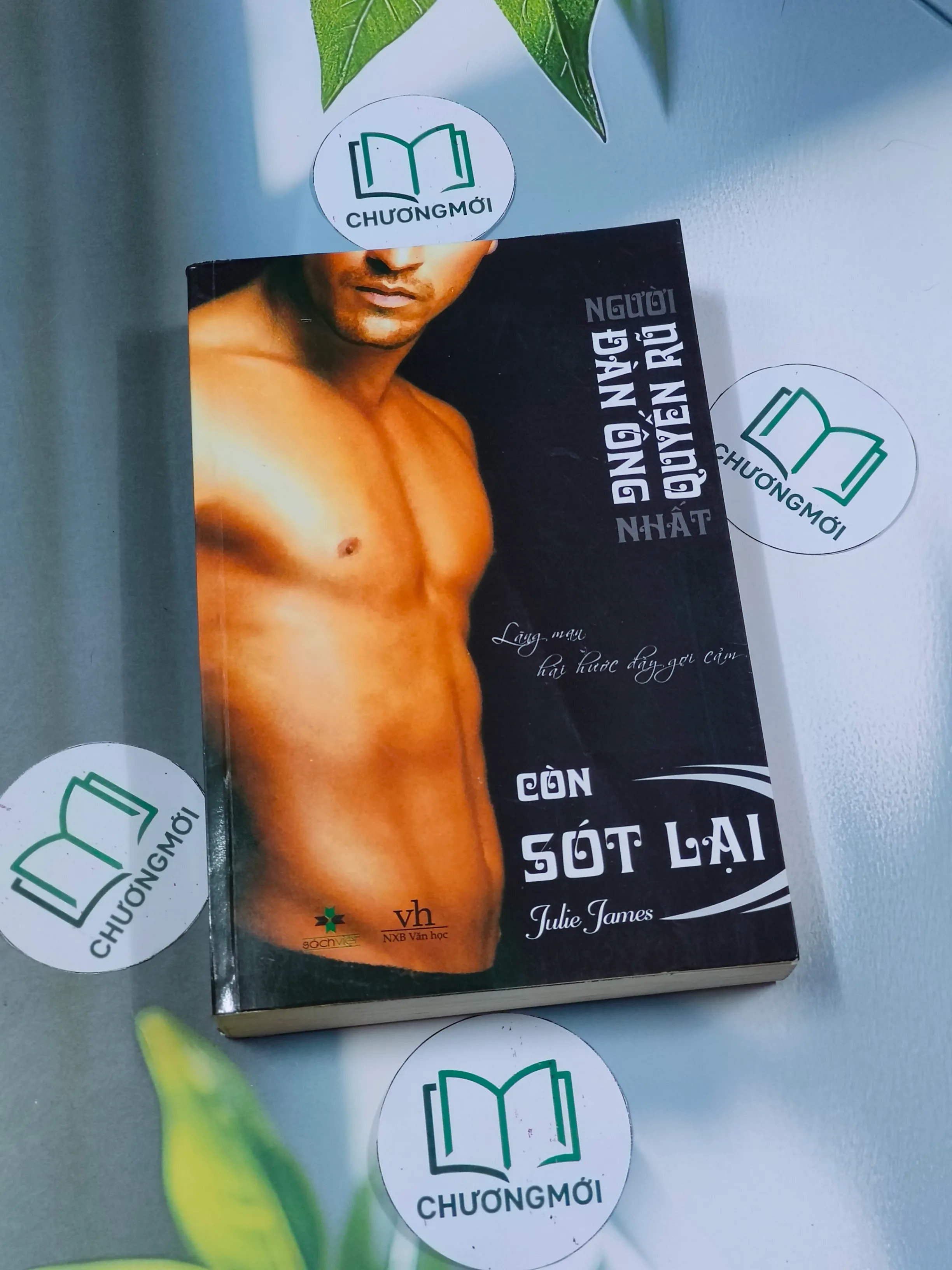 Đàn ông quyến rũ còn sót lại - Julie James