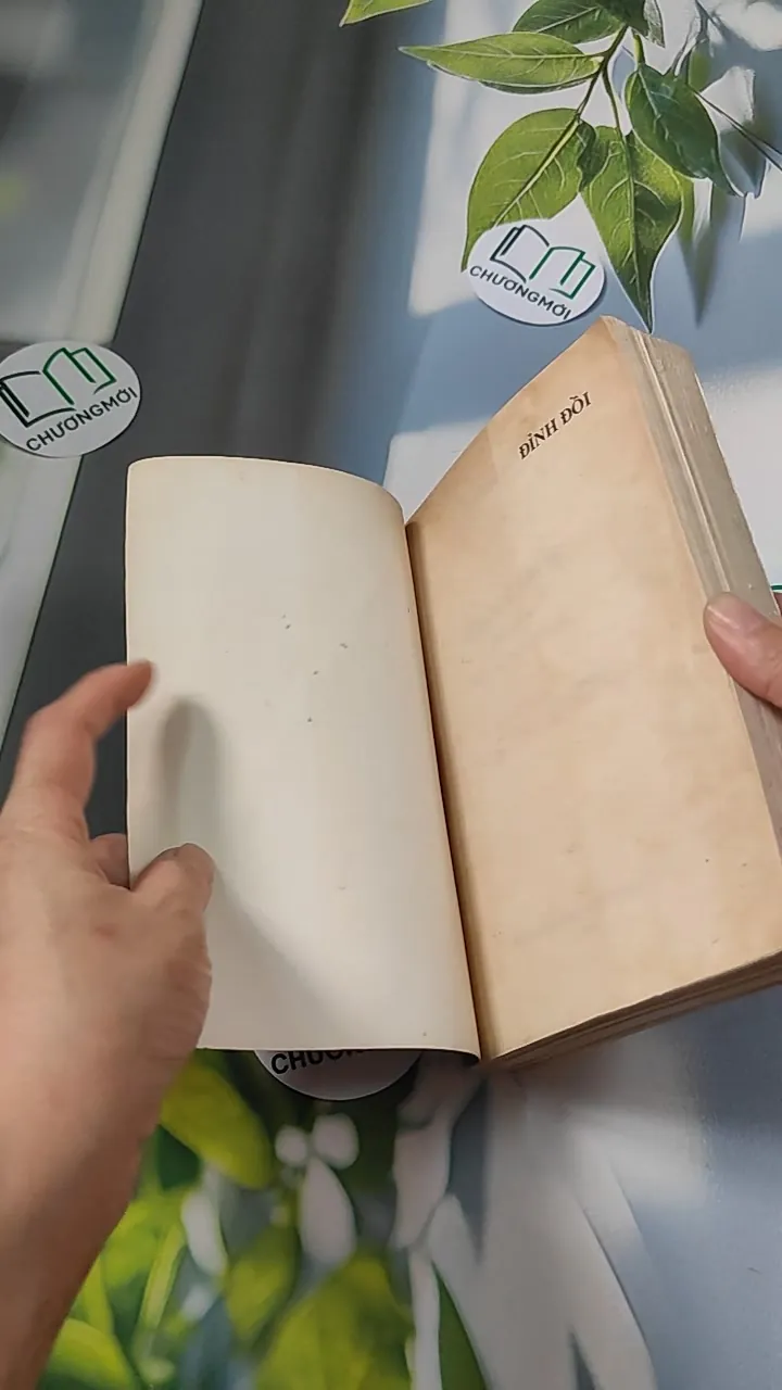 [XƯA] Đỉnh Đồi (1994) - Irwin Shaw 776066