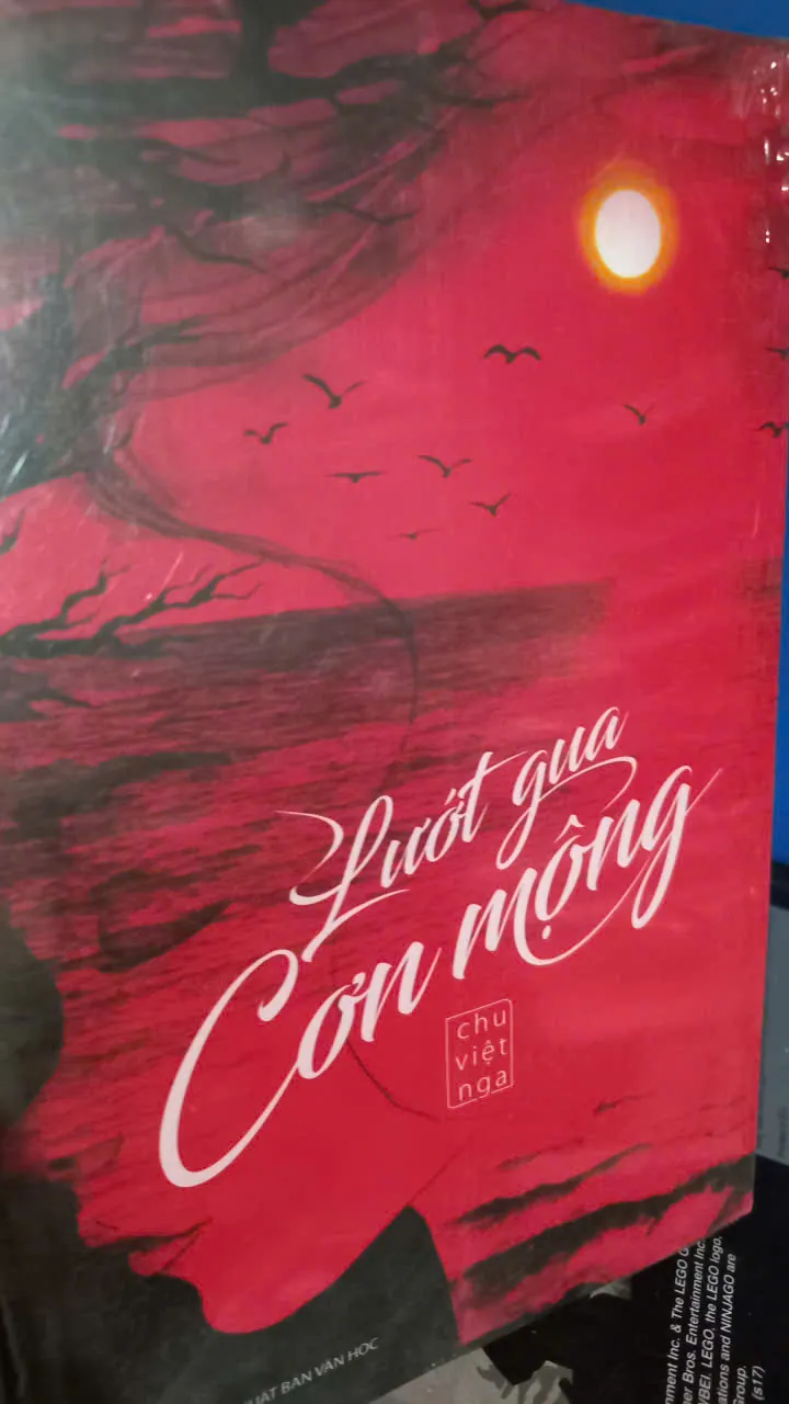 lướt qua cơn mộng