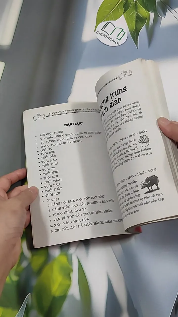 12 Con Giáp: Tình Duyên & Sự Nghiệp - Kỳ Anh 776127