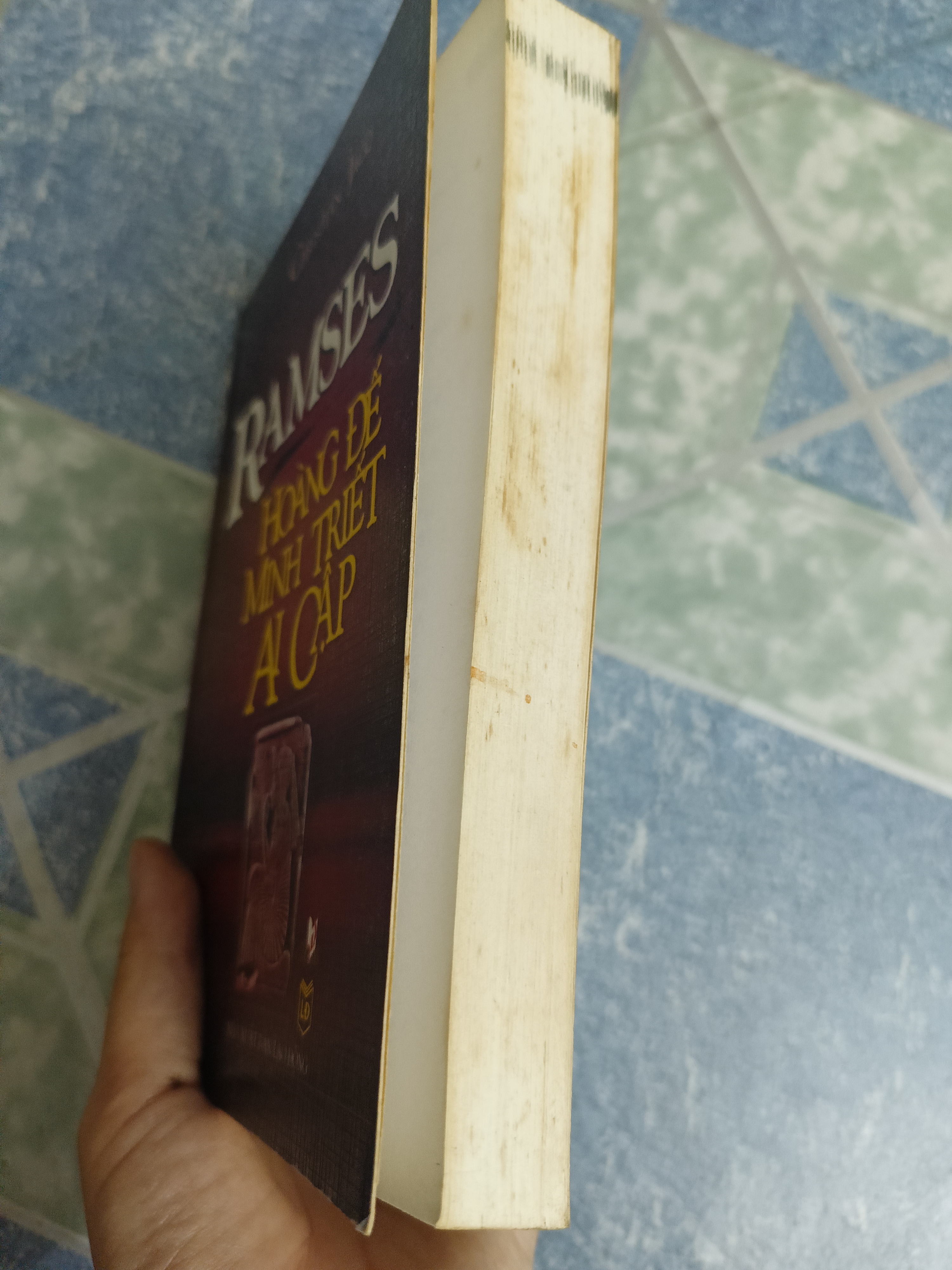 Ramses Hoàng đế Minh Triết Ai Cập - Christian Jacq 543436