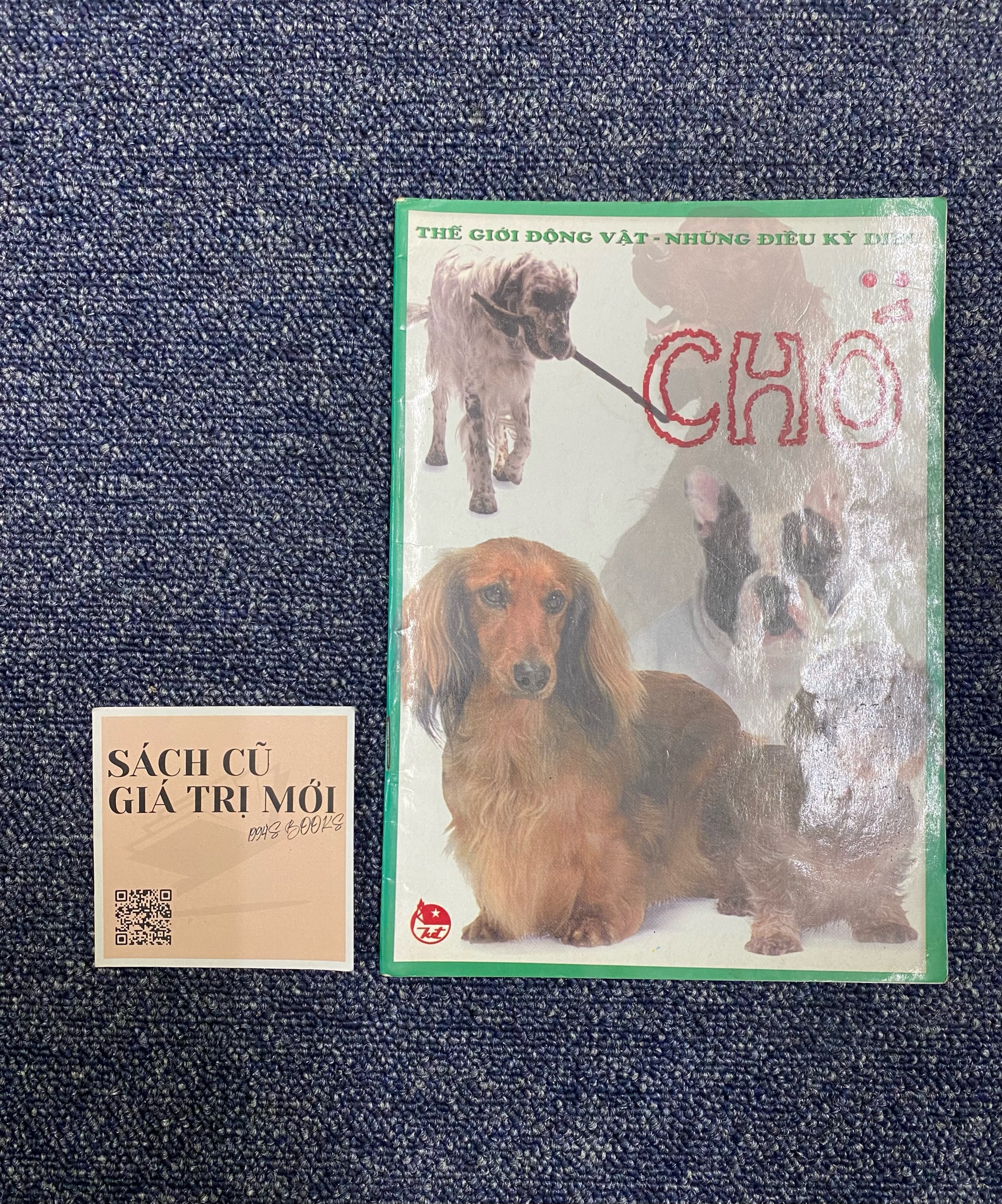 Chó - Thế giới động vật 