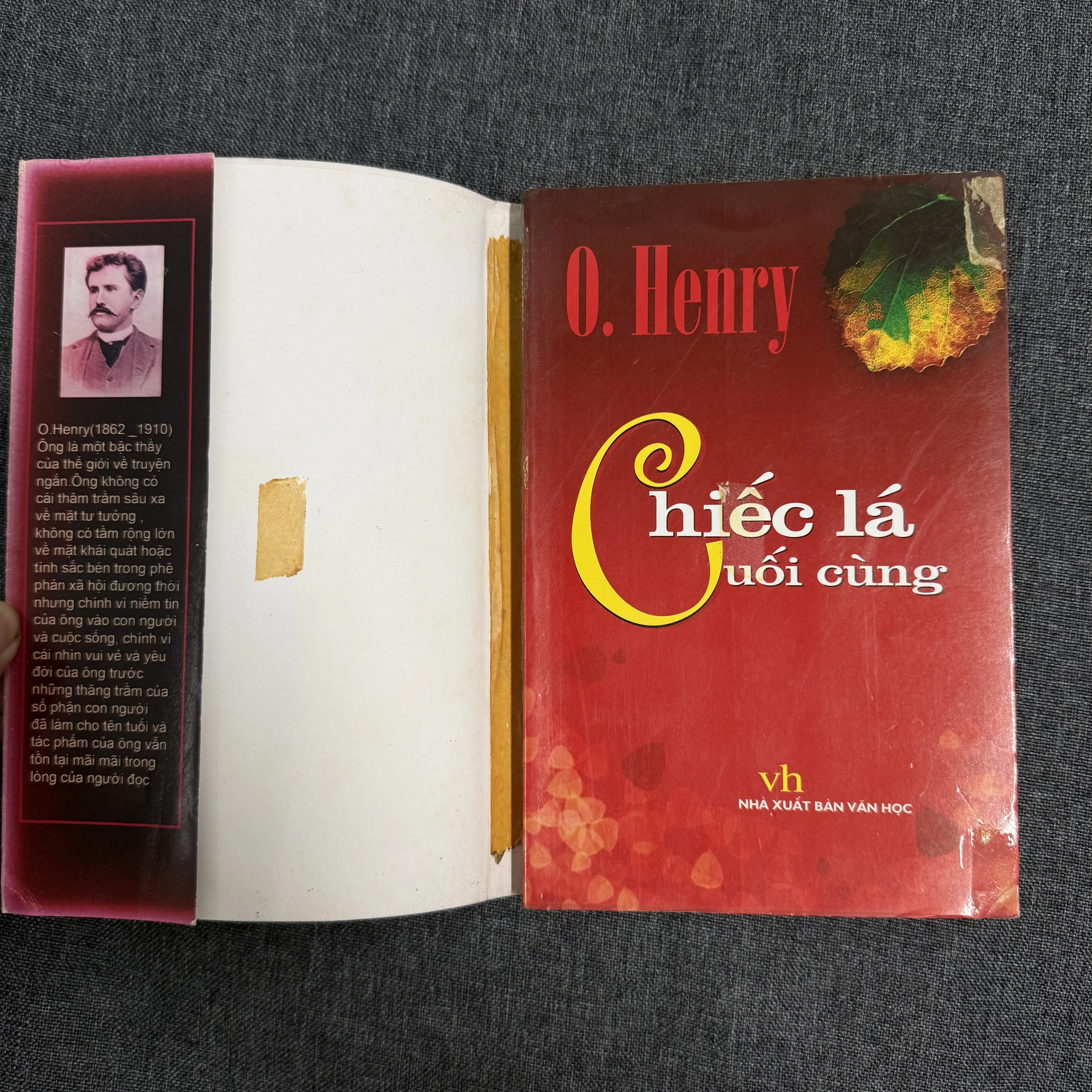 Quả lắc (Chiếc lá cuối cùng) - O. Henry 1000925