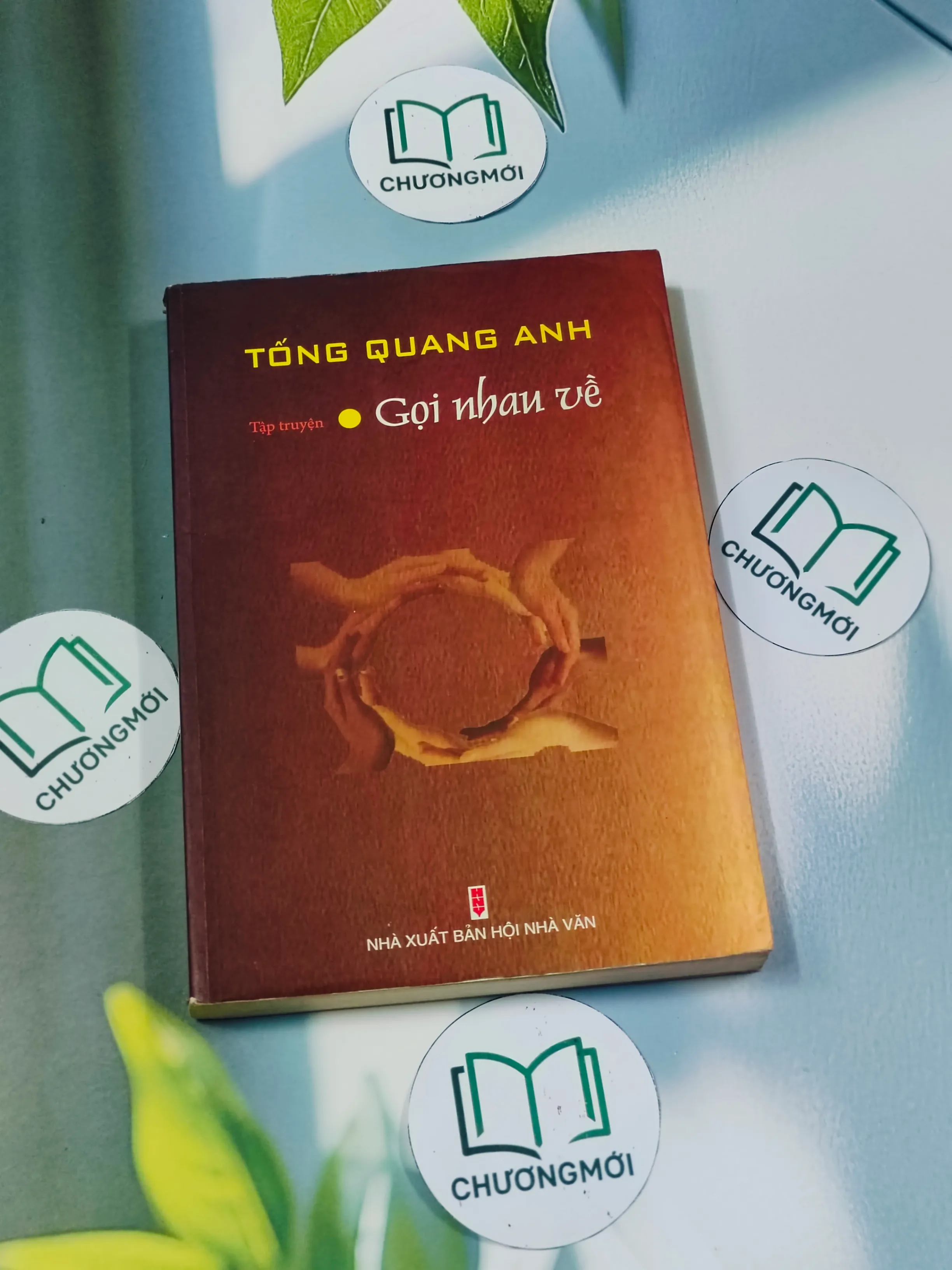 Gọi nhau về - Tống Quang Anh