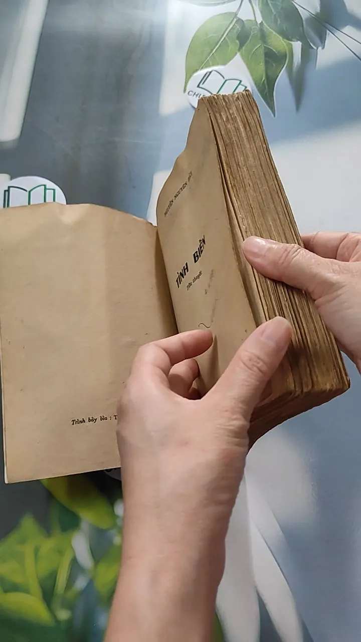 [XƯA] Tình Biển (1987) - Nguyễn Nguyên Bảy 776055