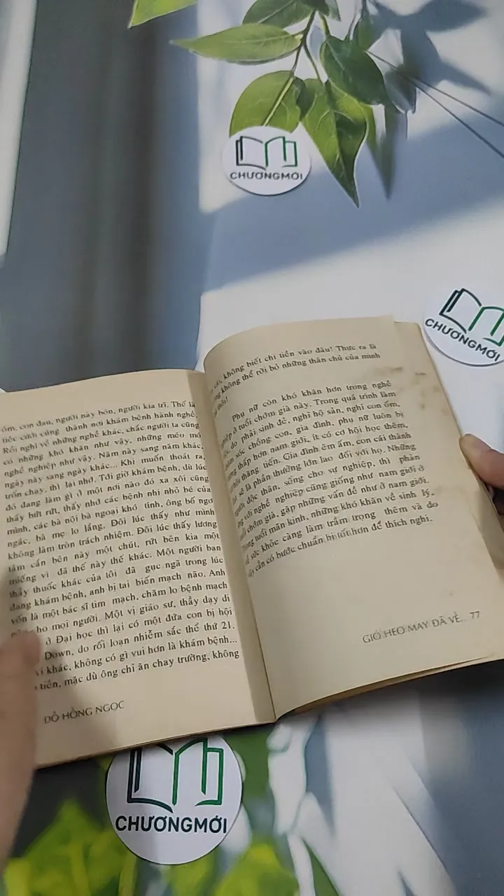 Gió Heo May Đã Về - BS Đỗ Hồng Ngọc 776045