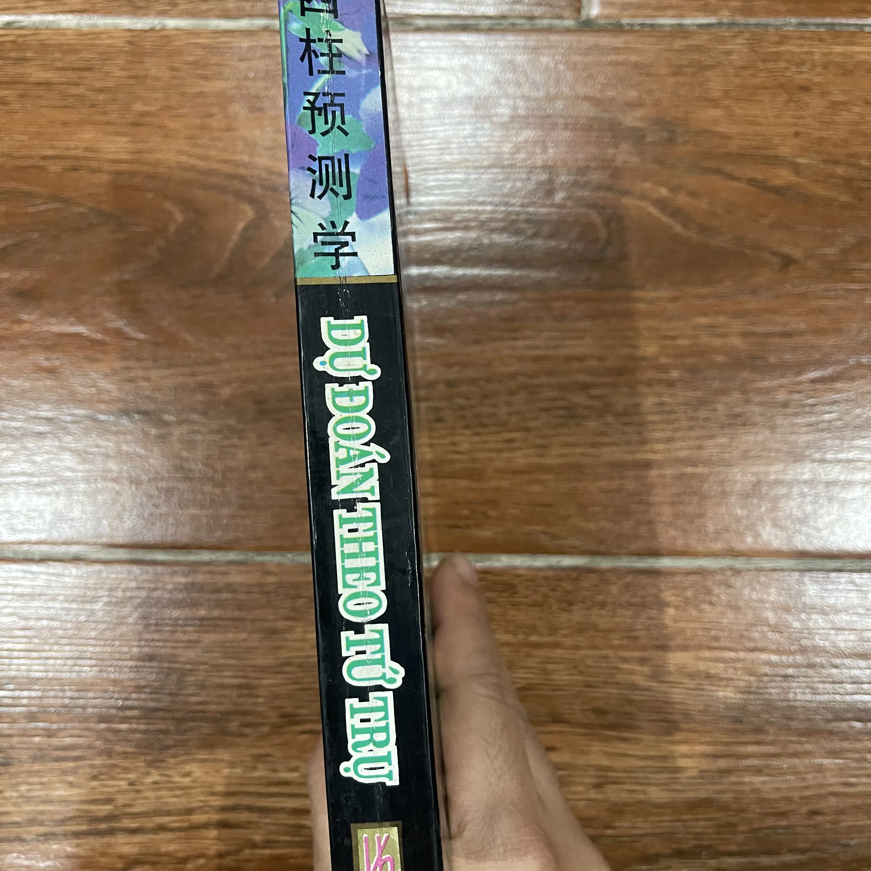Dự Đoán Theo Tứ Trụ - Thiệu Vĩ Hoa  (6) 719207