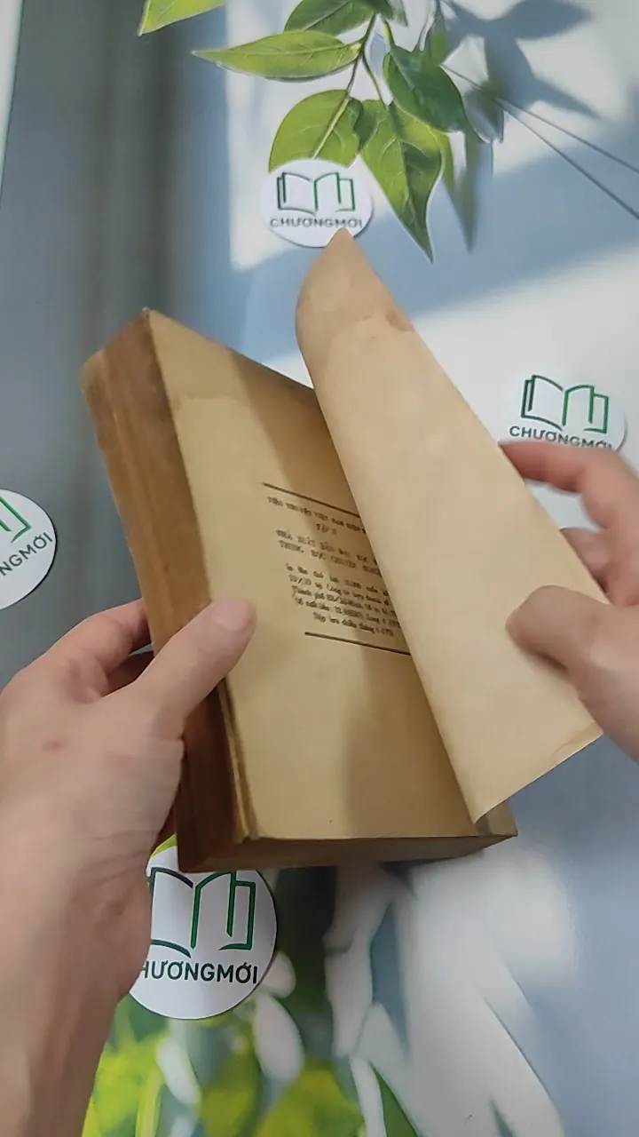 [MIỄN PHÍ BỌC SÁCH] [XƯA] Tiểu Thuyết Việt Nam Hiện Đại 2 (1978) - Phan Cự Đệ 776017