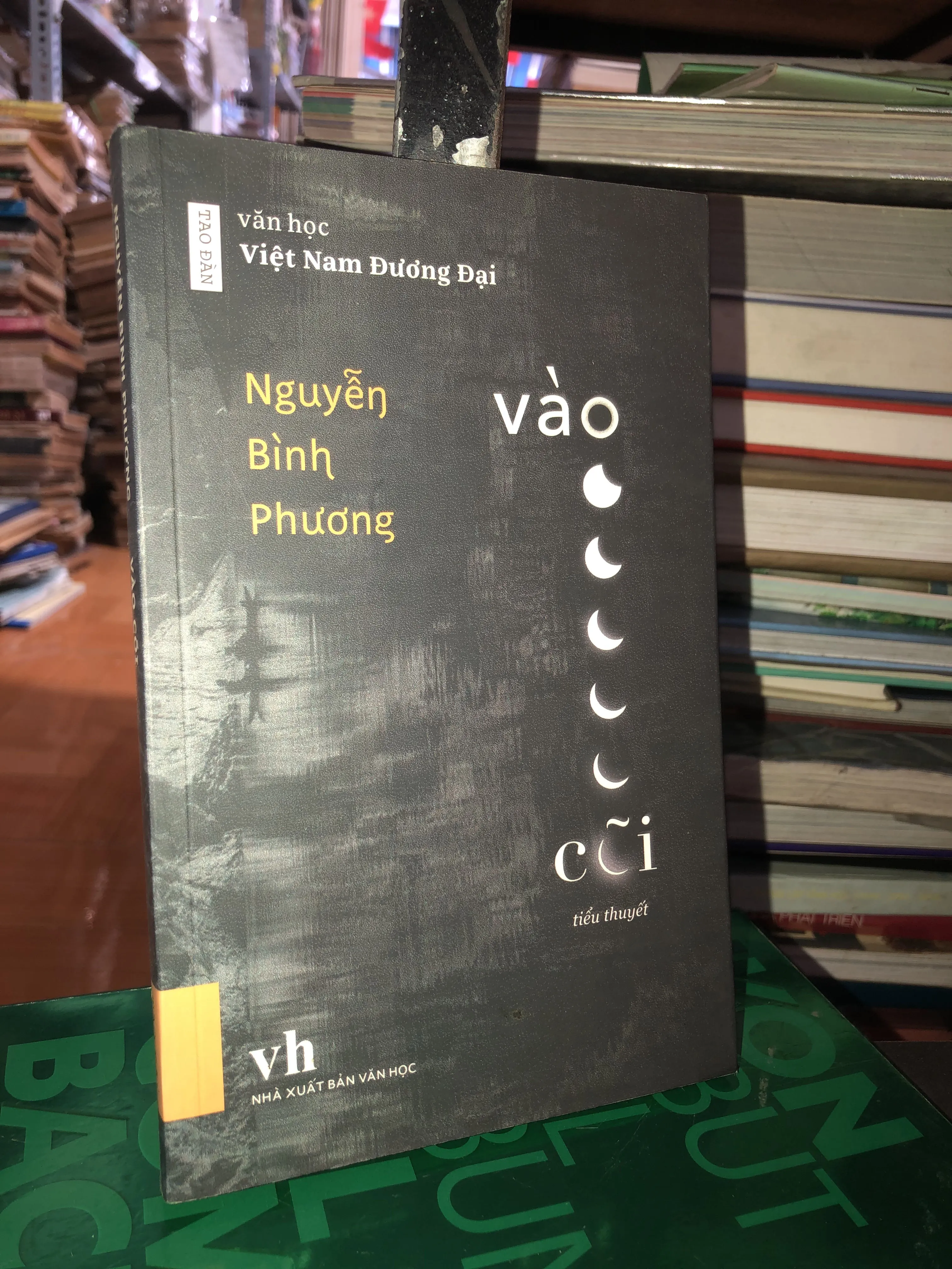 Vào cõi - Nguyễn Bình Phương