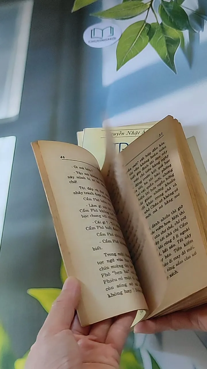 Trọn bộ Trại hoa vàng (4 tập) 607740