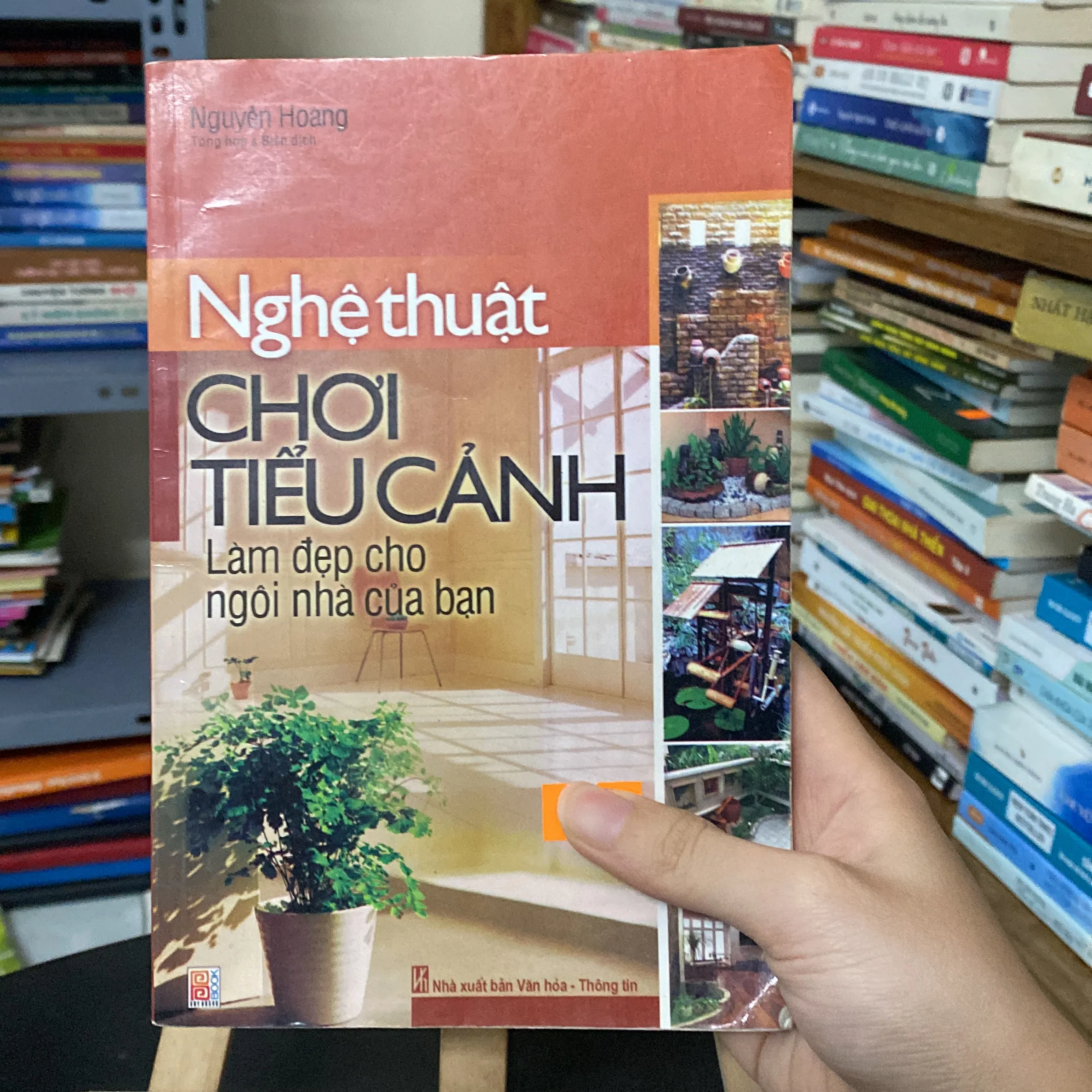 Nghệ thuật chơi tiểu cảnh
