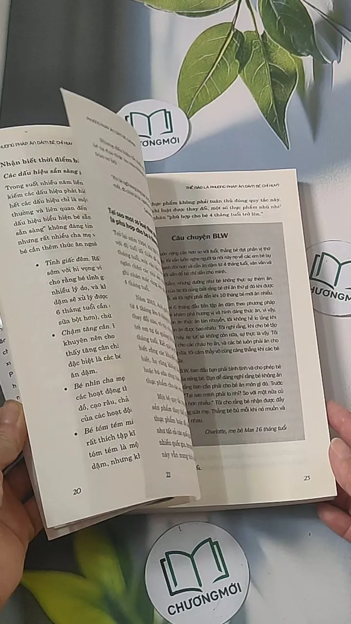 Phương pháp ăn dặm bé chỉ huy 688485