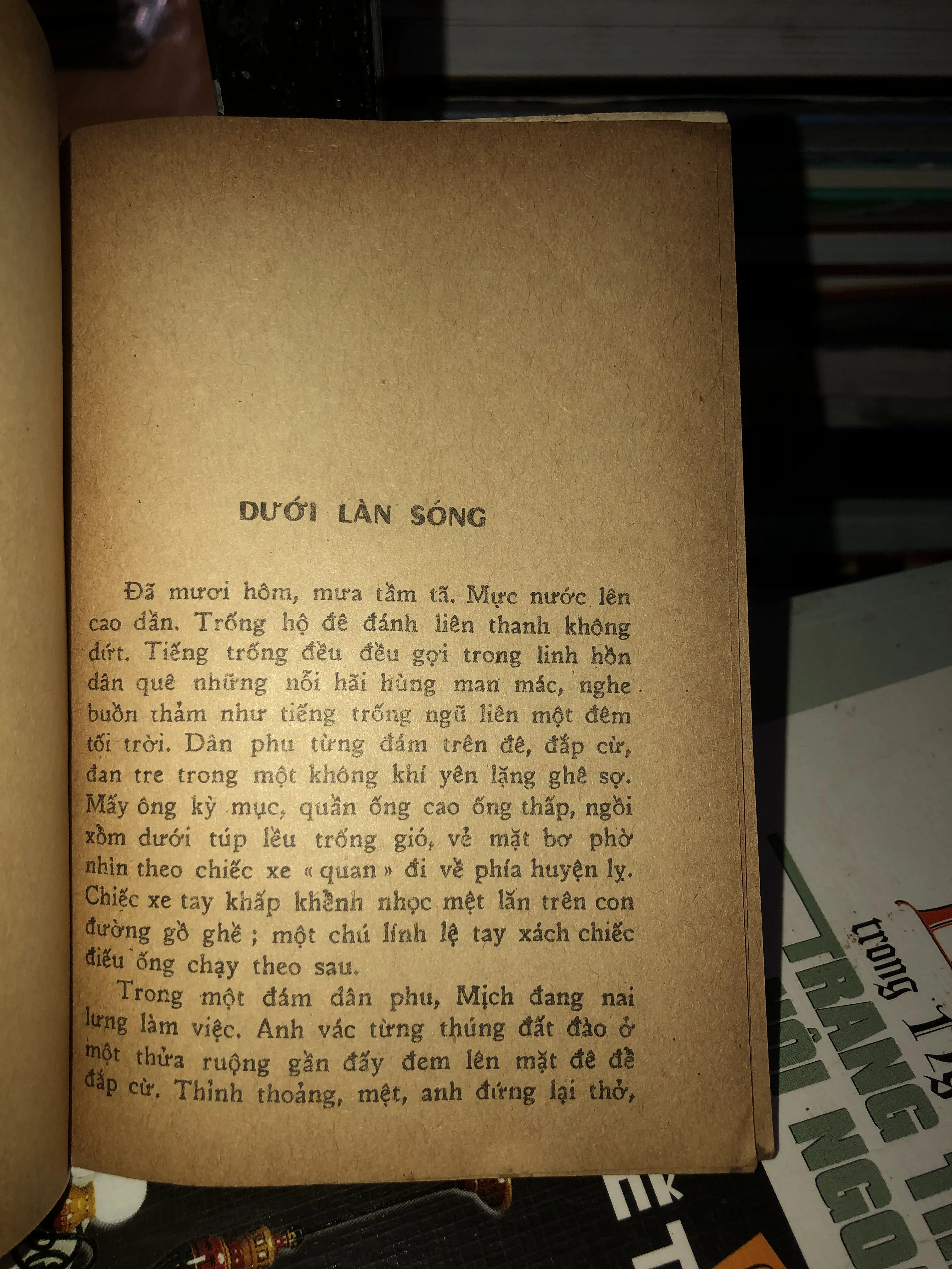 Tiếng Đàn - Hoàng Đạo 1001352