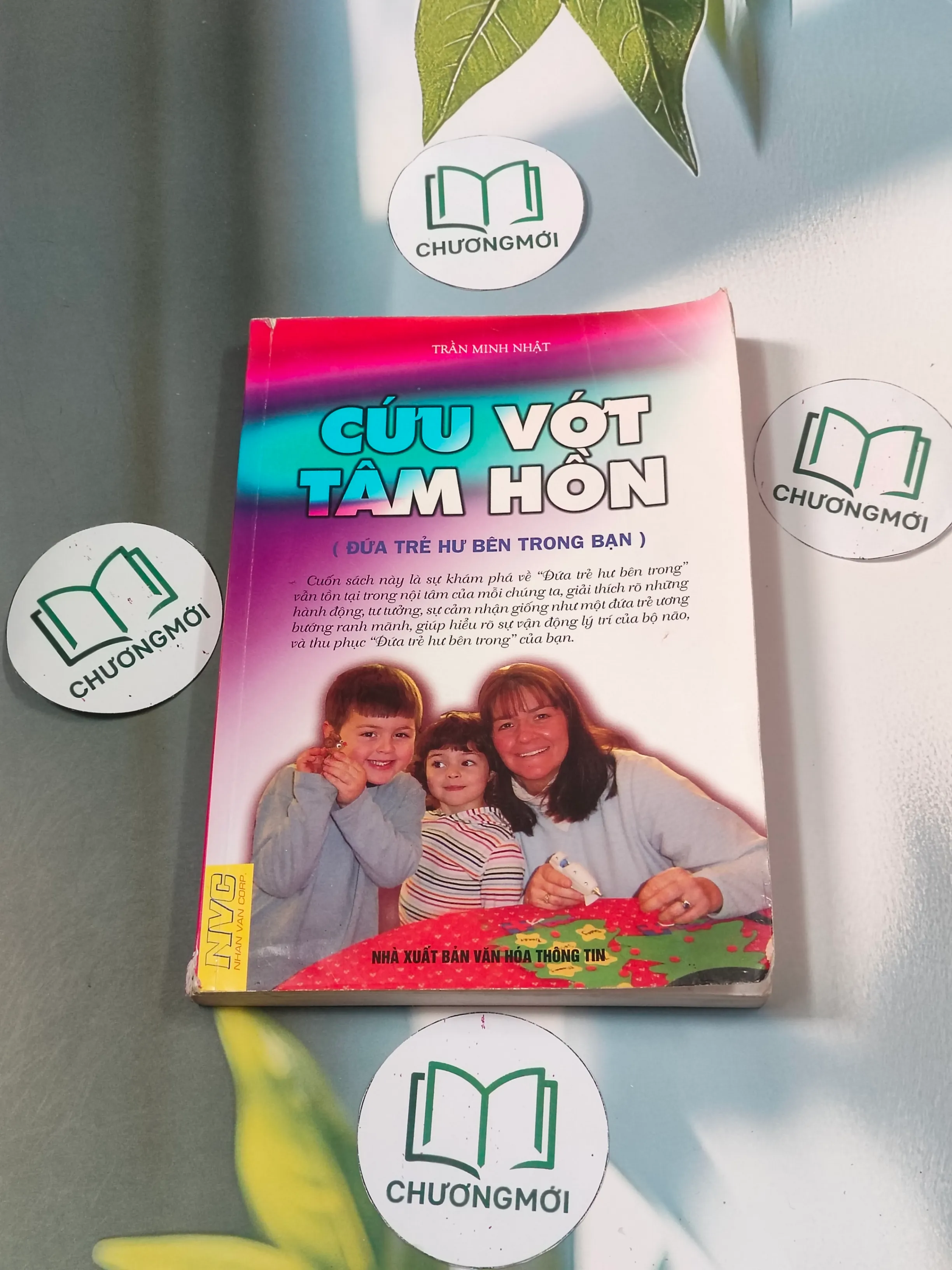 Cứu vớt tâm hồn (đứa trẻ hư bên trong bạn) - Trần Minh Nhật