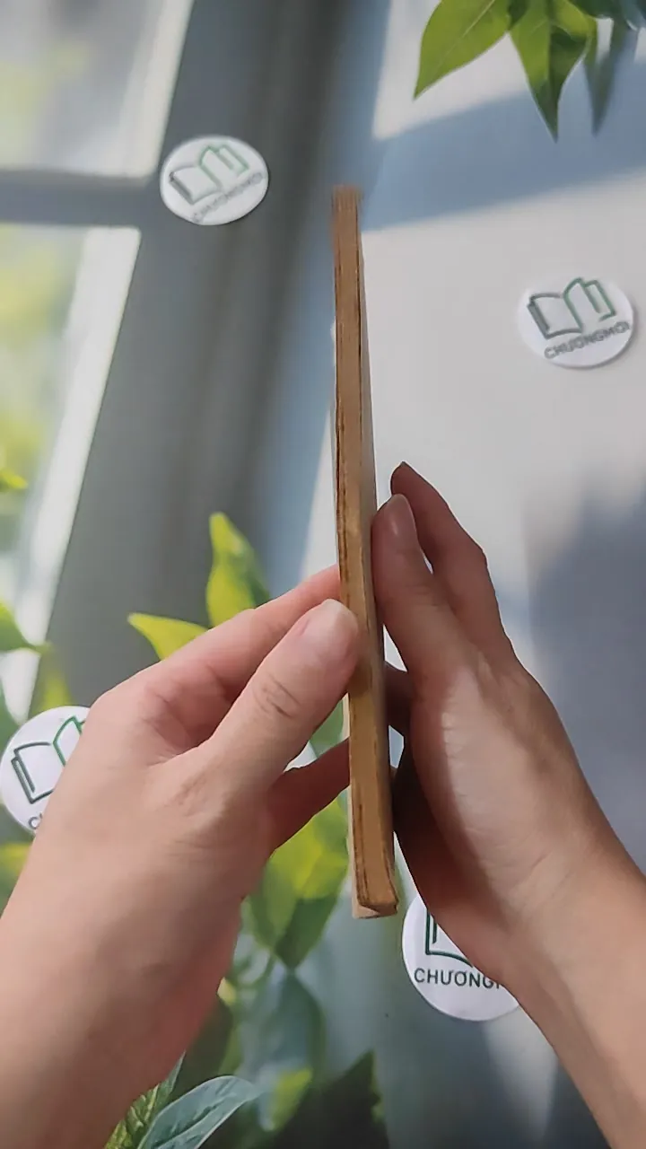 [XƯA] Thám Tử Đường Phố (1981) - Thanh Đạm 997780