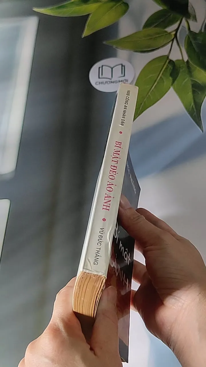 Bí Mật Đèo Ảo Ảnh (1996) - Vũ Đức Thắng 607686