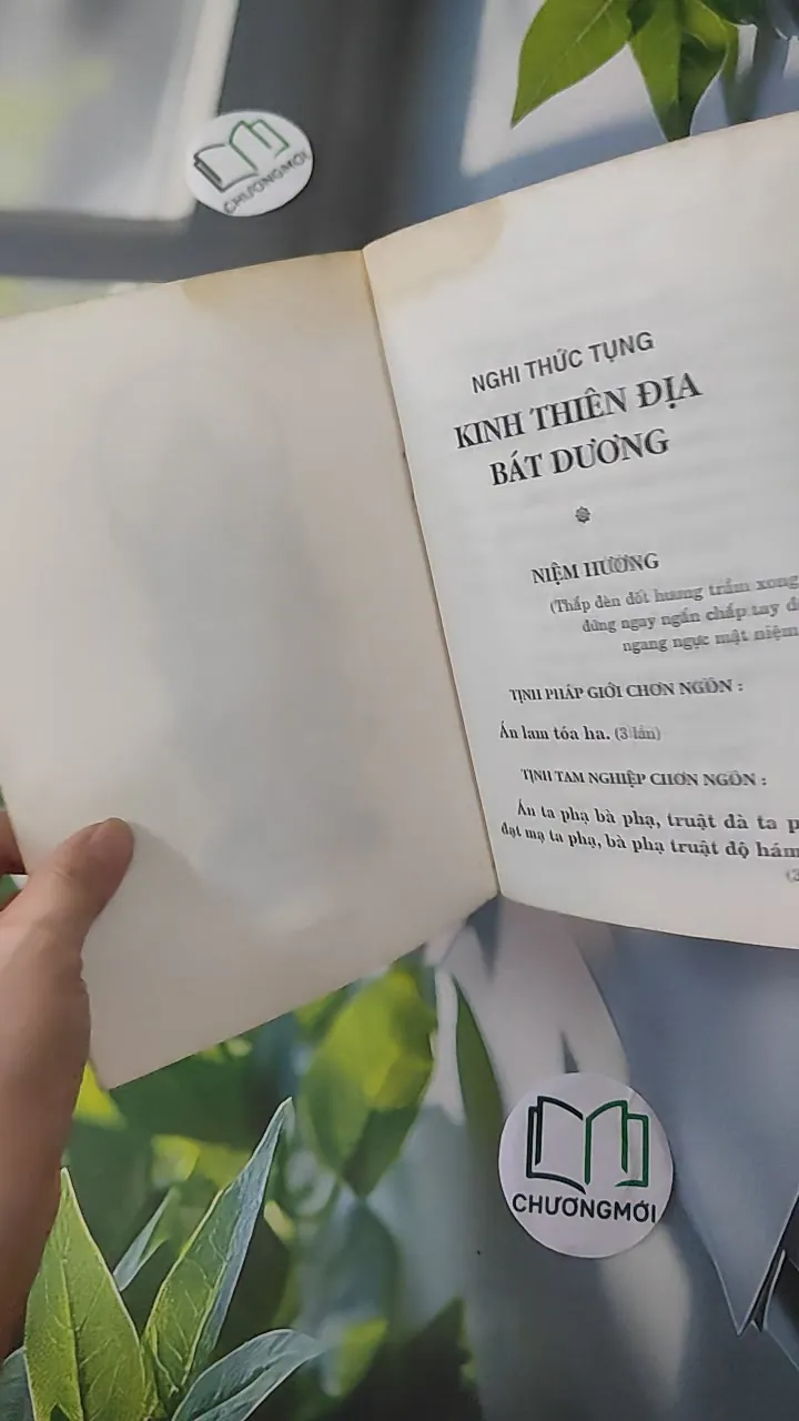 [XƯA] Kinh Thiên Địa Bát Dương (1999) 997819