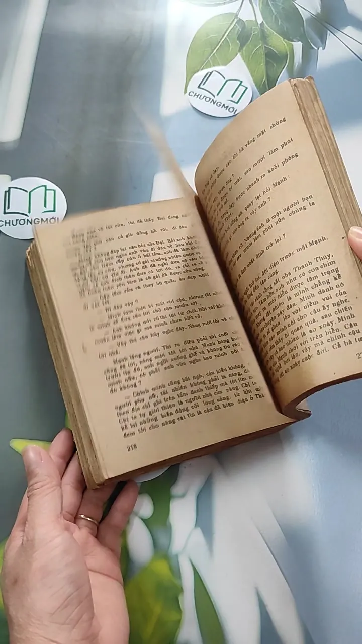 [XƯA] Tình Biển (1987) - Nguyễn Nguyên Bảy 776055