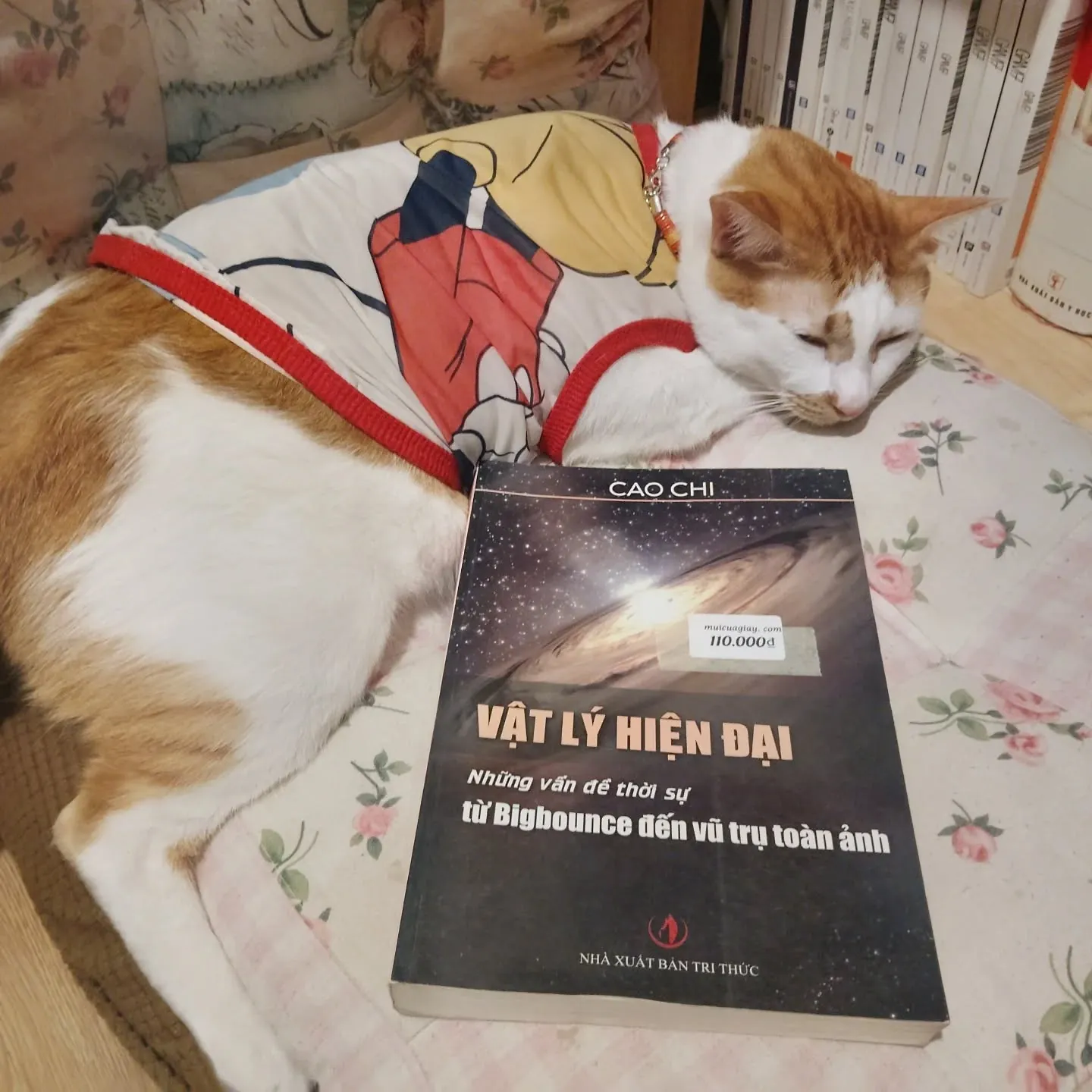 Vật lý hiện đại (Những vấn đề thời sự từ Bigbounce đến vũ trụ toàn ảnh) - Cao Chi