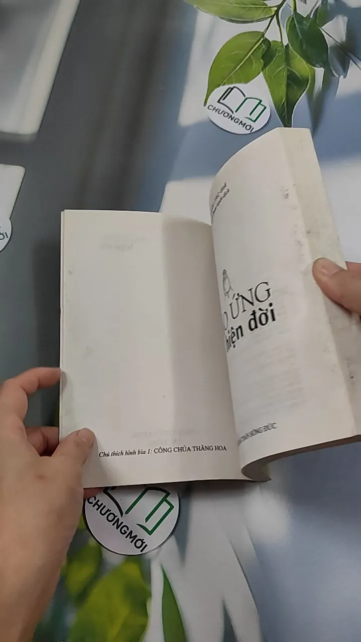 Báo Ứng Hiện Đời - Hạnh Đoan 776114