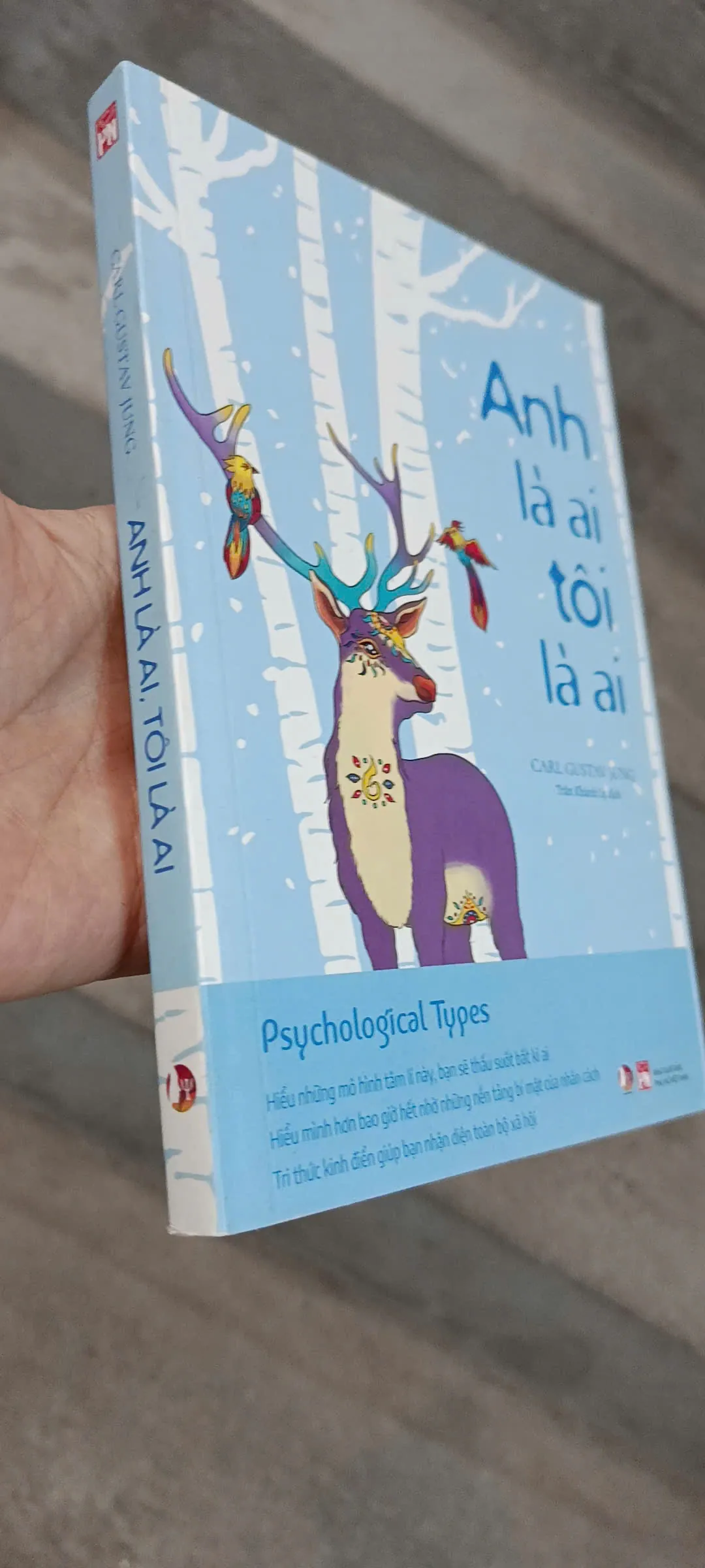 Anh Là Ai Tôi Là Ai - Carl Gustav Jung, Mới 80% (NguyenN)