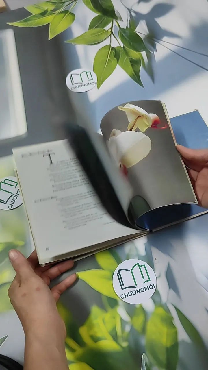 Ý Hoa ( Song Ngữ) - Hồ Anh Thái 750833