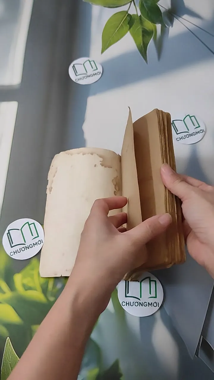 [XƯA] Ngày Mới (1988) - Thạch Lam 997579