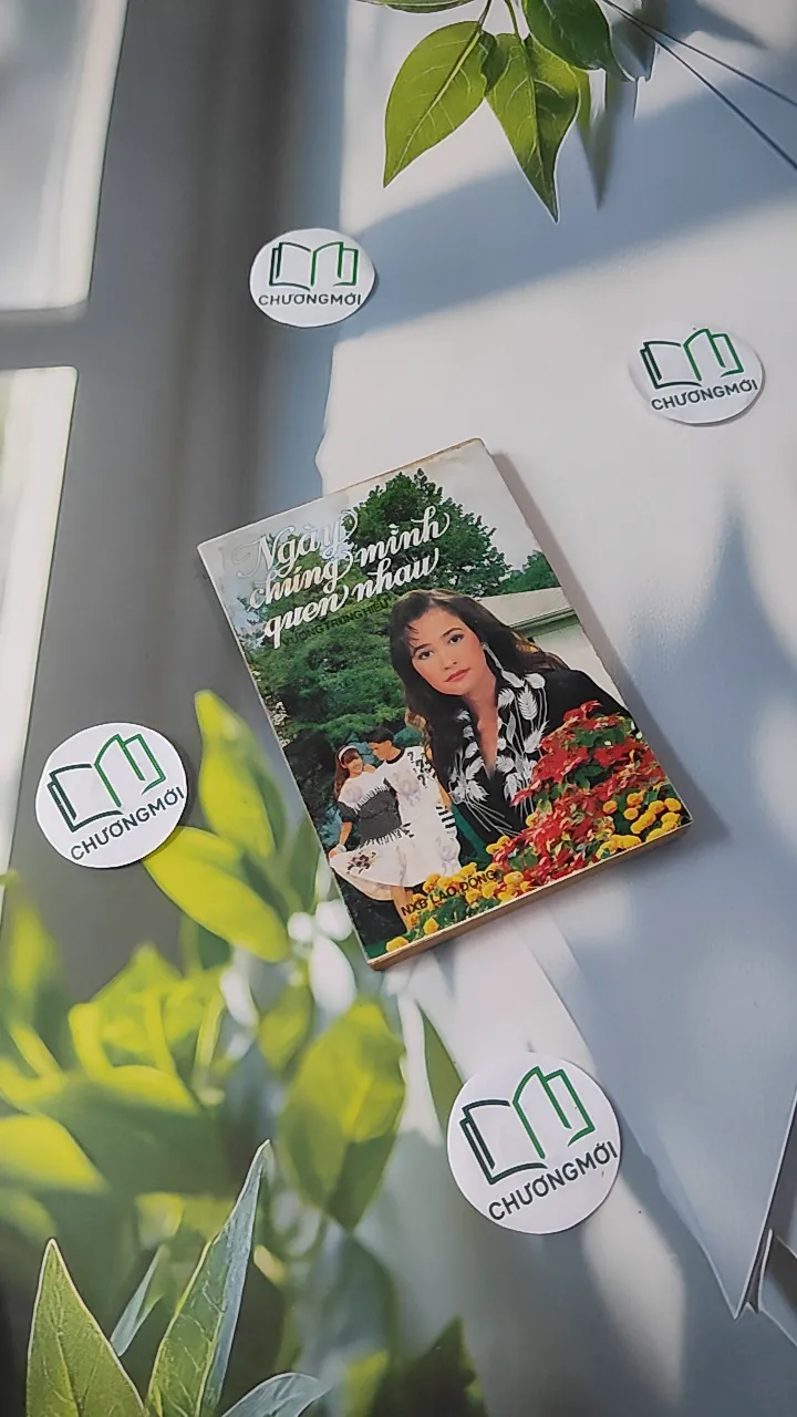 [XƯA] Ngày Chúng Mình Quen Nhau (1991) - Vương Trung Hiếu