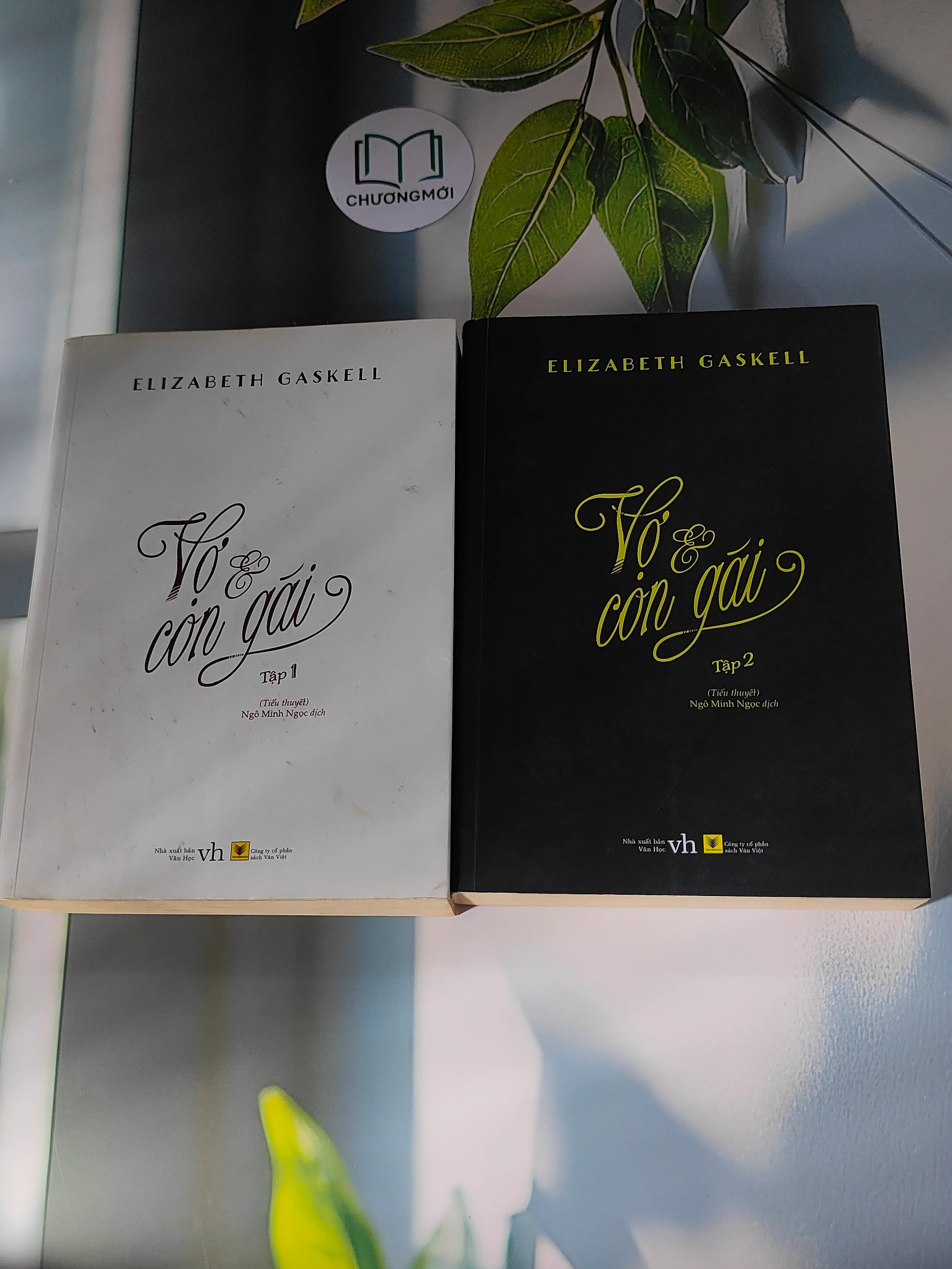 [MIỄN PHÍ BỌC SÁCH] Vợ và con gái ( Tập 1 + 2) (2016) - Elizabeth Gaskell