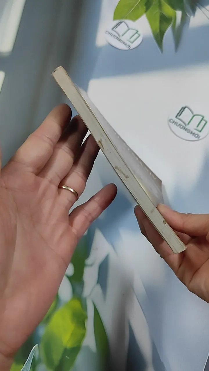 Con Đường Đến Tự Do Vô Thượng - Đạt Lai Lạt Ma XIV 776186