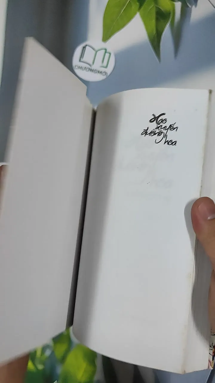 Xao Xuyến Đường Hoa - Lê Phúc Cường 798492