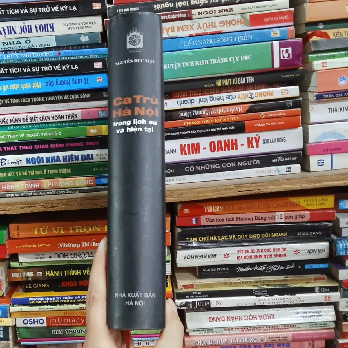 Ca Trù Hà Nội Trong Lịch Sử Và Hiện Tại - Nguyễn Đức Mậu 997755