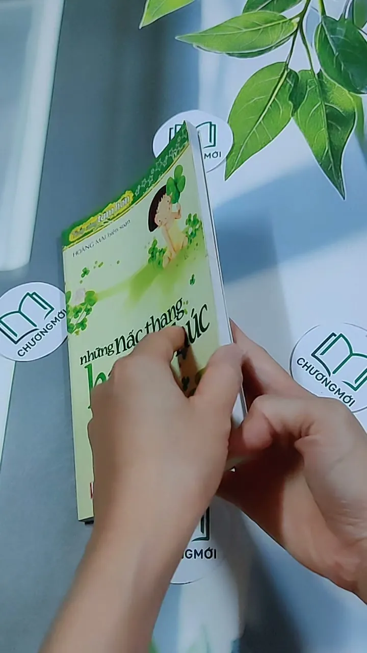 Những Nấc Thang Hạnh Phúc - Hoàng Mai 634461