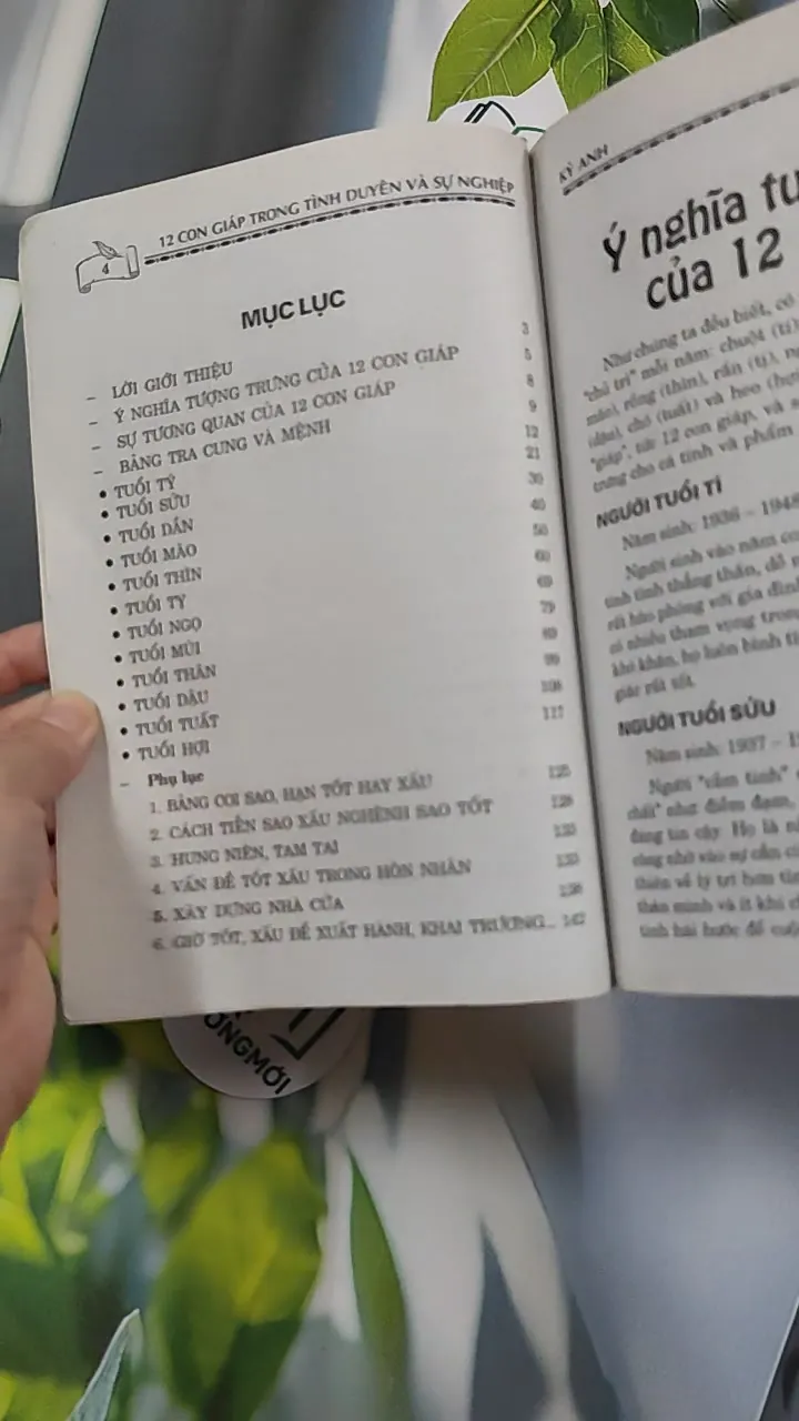 12 Con Giáp: Tình Duyên & Sự Nghiệp - Kỳ Anh 776127