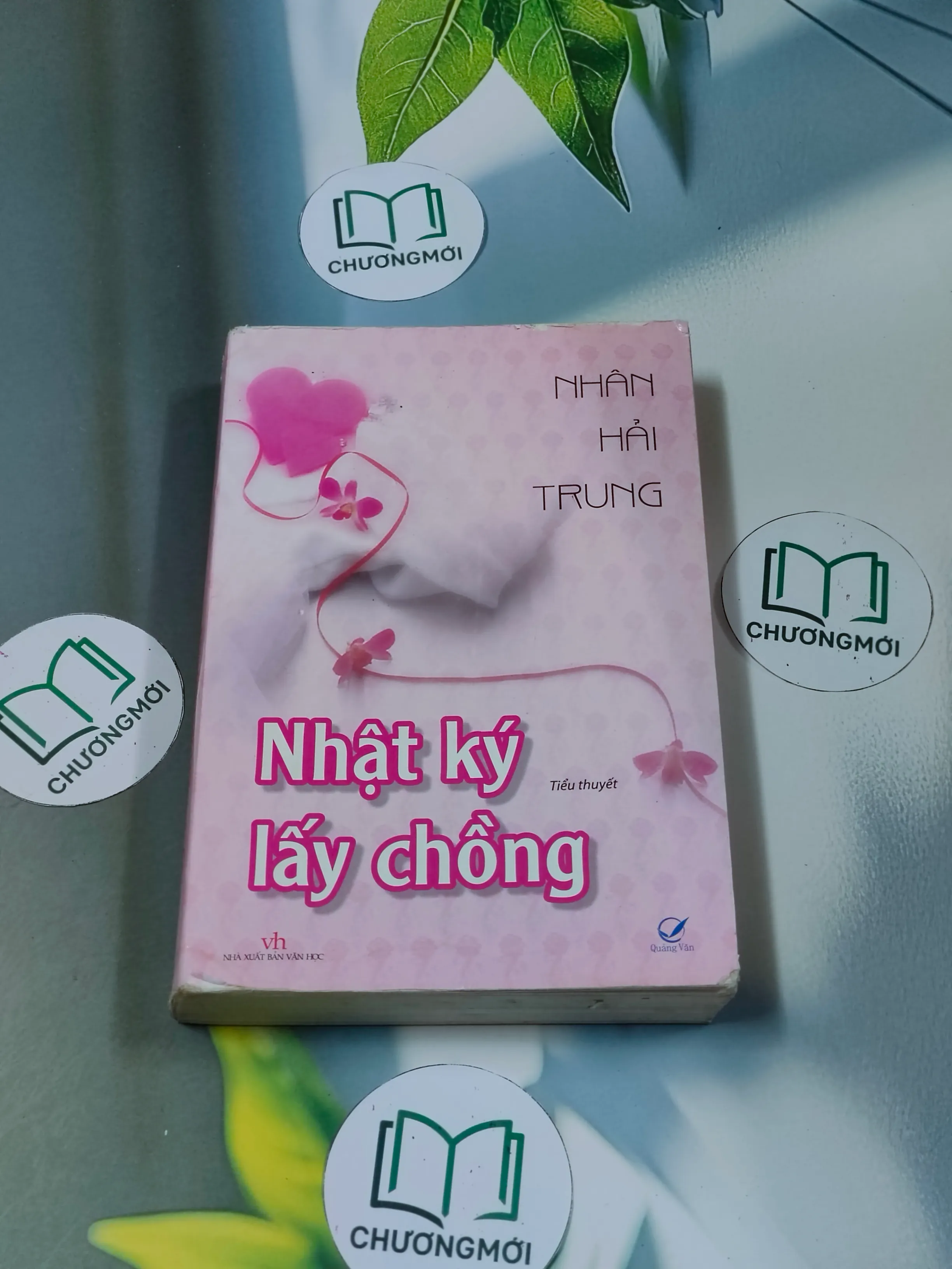 Nhật ký lấy chồng - Nhân Hải Trung