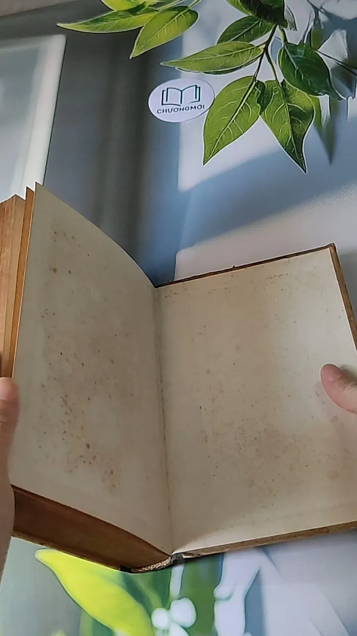 Người Thay Thế Chưa Tới (1986) - Nikolai Kambulev 607724