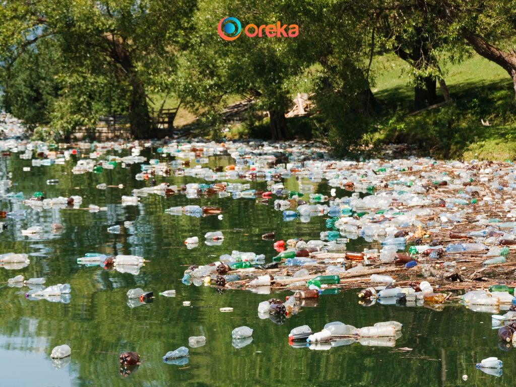 rác thải nhựa ảnh hưởng đến sức khỏe con người 
