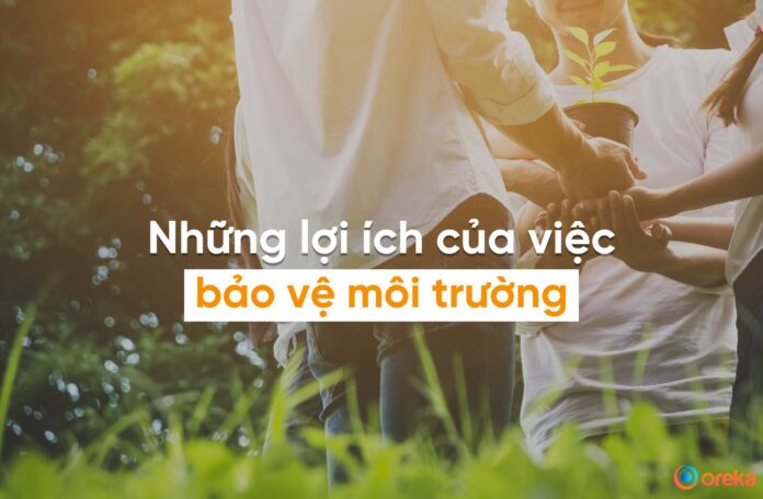 lợi ích của việc bảo vệ môi trường