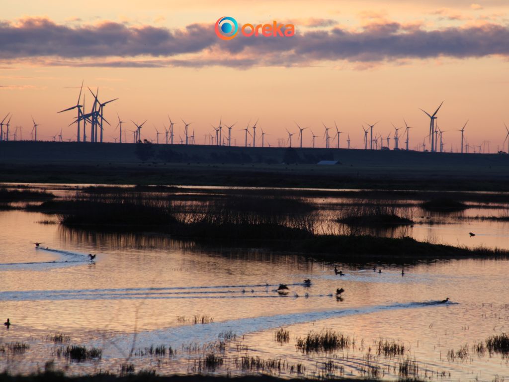 biện pháp bảo vệ môi trường nước, hình ảnh cánh đồng quạt gió rộng lớn đang hoạt động. Việc sử dụng năng lượng tái tạo nói chung, hay năng lượng gió nói riêng là một cách làm hiệu quả góp phần bảo vệ môi trường nước khỏi các nguy cơ gây ô nhiễm. 
