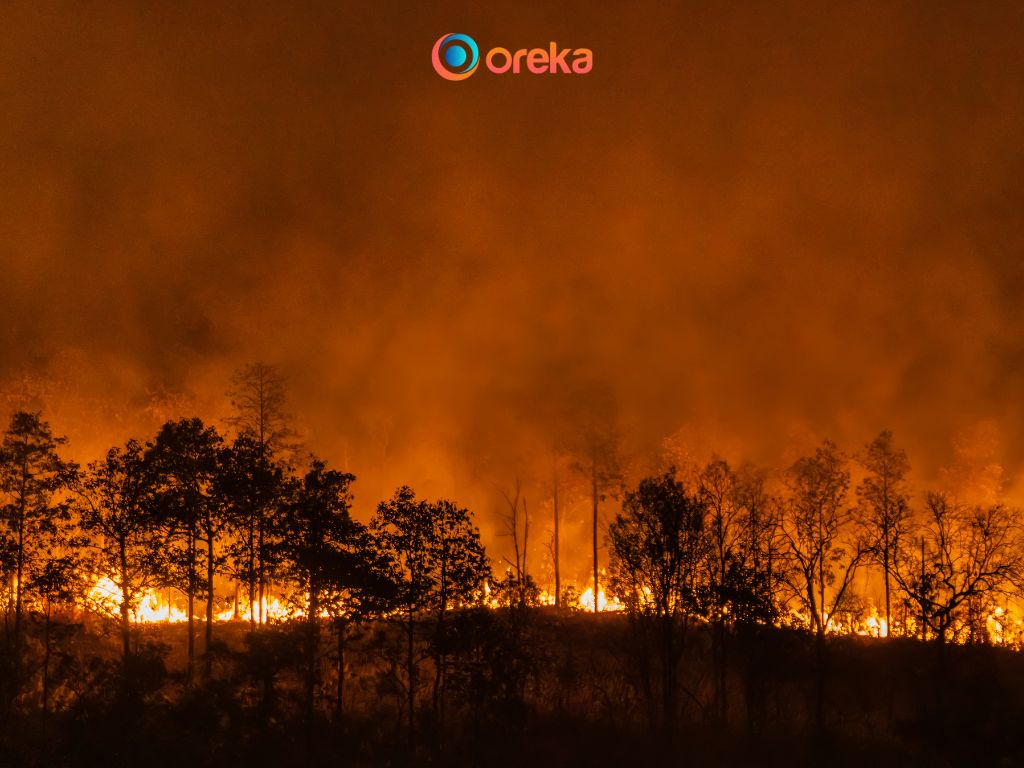 hiện tượng el nino là gì, cháy rừng là những hệ quả từ hiện tượng el nino 