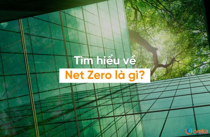 net zero là gì