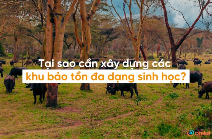 khu bảo tồn đa dạng sinh học là gì