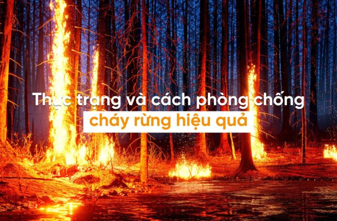 cháy rừng