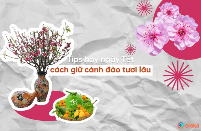 cách giữ cành đào tươi lâu